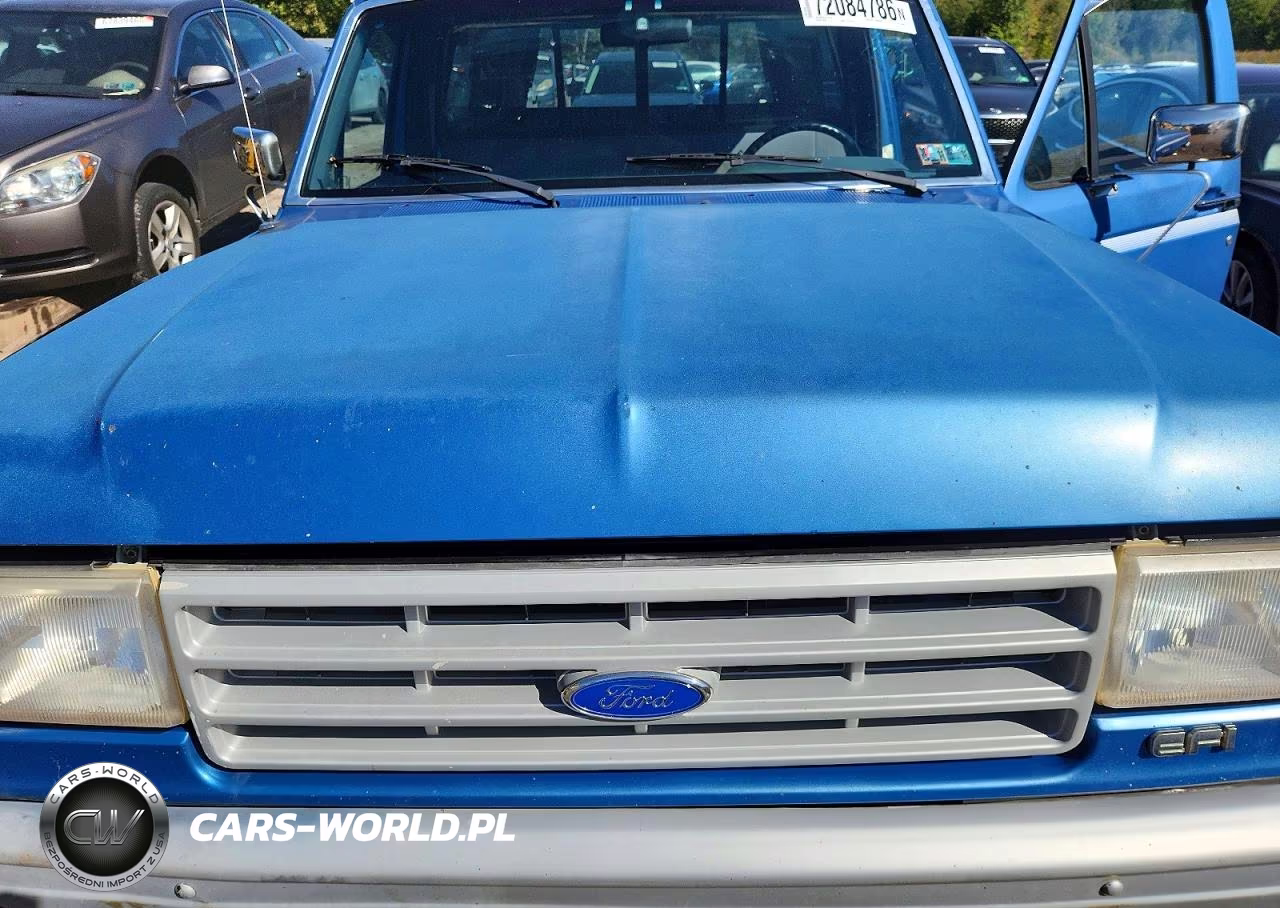 1991 Ford F150 VIN:1FTDF15Y5MNB06389 - 12