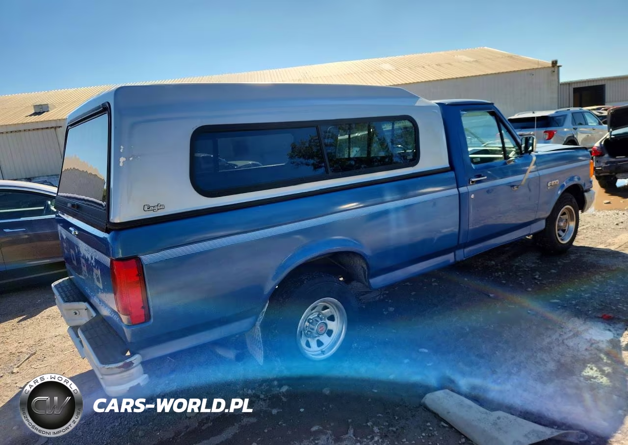 1991 Ford F150 VIN:1FTDF15Y5MNB06389 - 3