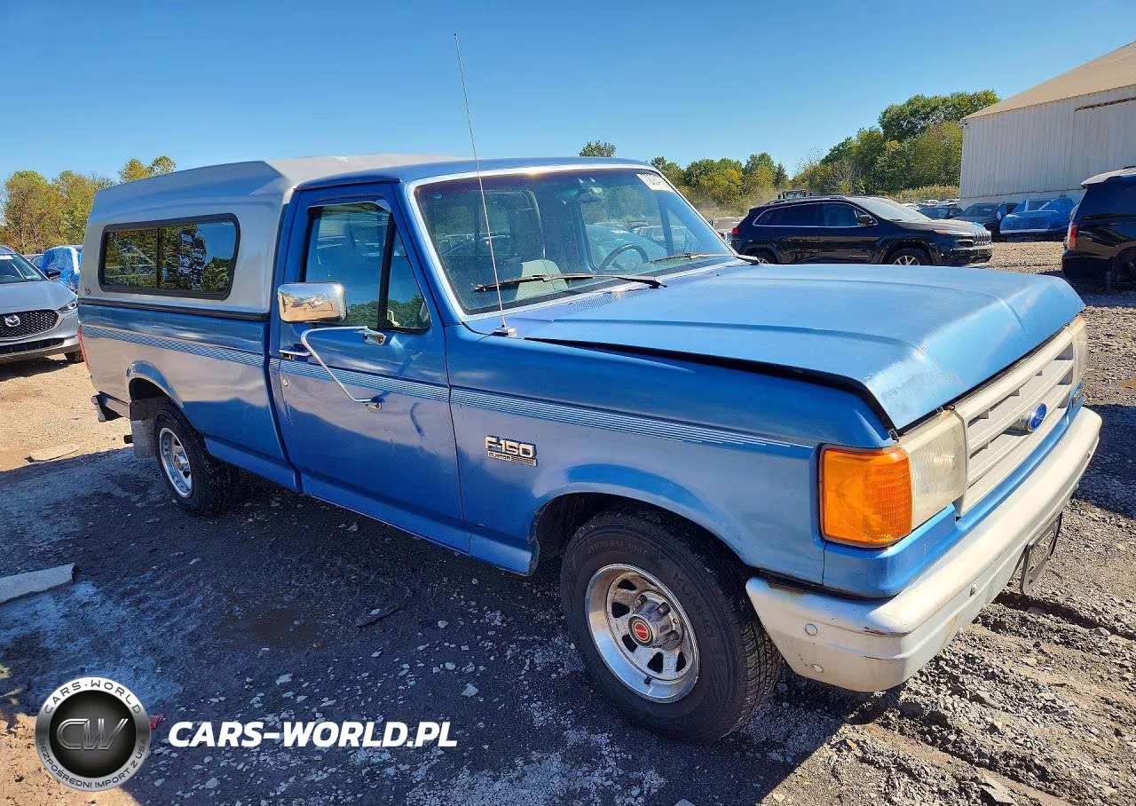 1991 Ford F150 VIN:1FTDF15Y5MNB06389 - 4