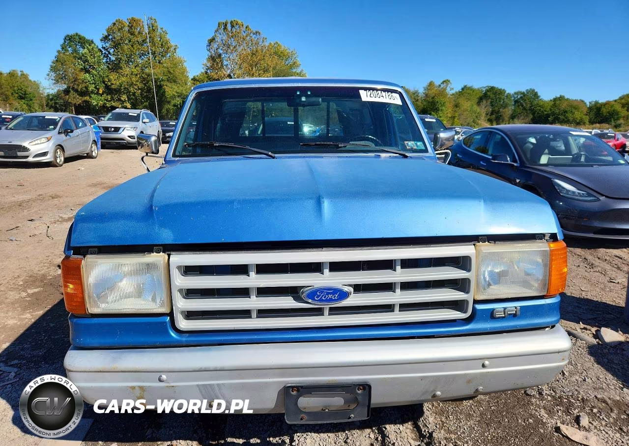 1991 Ford F150 VIN:1FTDF15Y5MNB06389 - 5