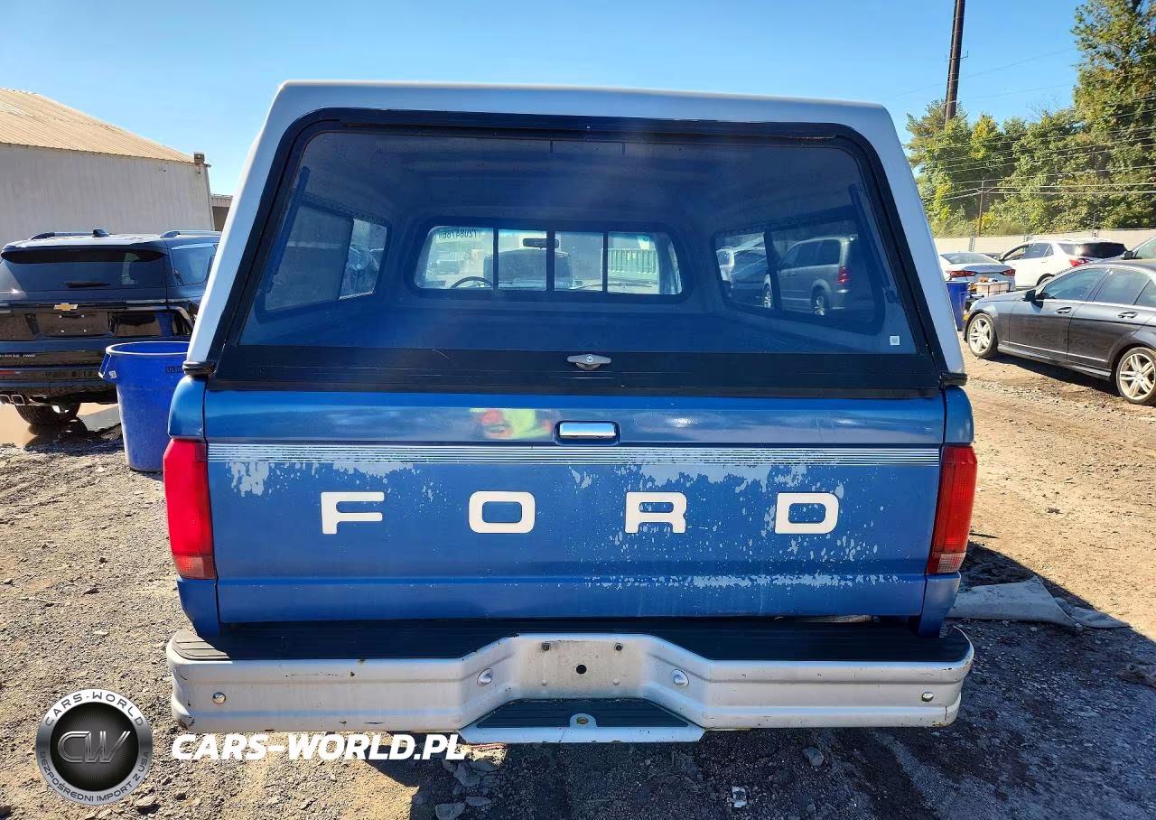 1991 Ford F150 VIN:1FTDF15Y5MNB06389 - 6