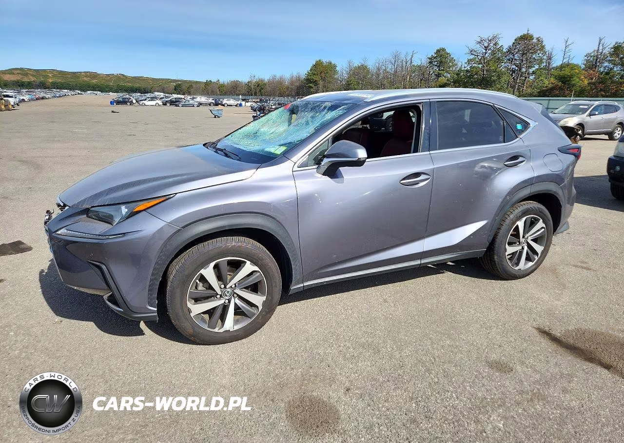 2019 Lexus Nx 300 Base VIN:JTJBARBZ9K2180718 - 1