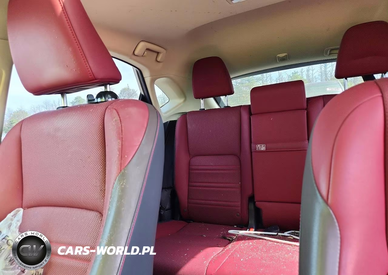 2019 Lexus Nx 300 Base VIN:JTJBARBZ9K2180718 - 10