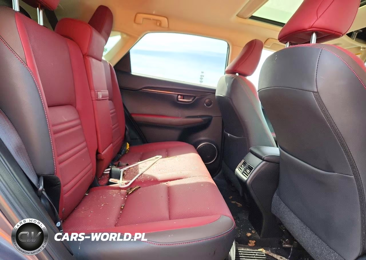2019 Lexus Nx 300 Base VIN:JTJBARBZ9K2180718 - 11