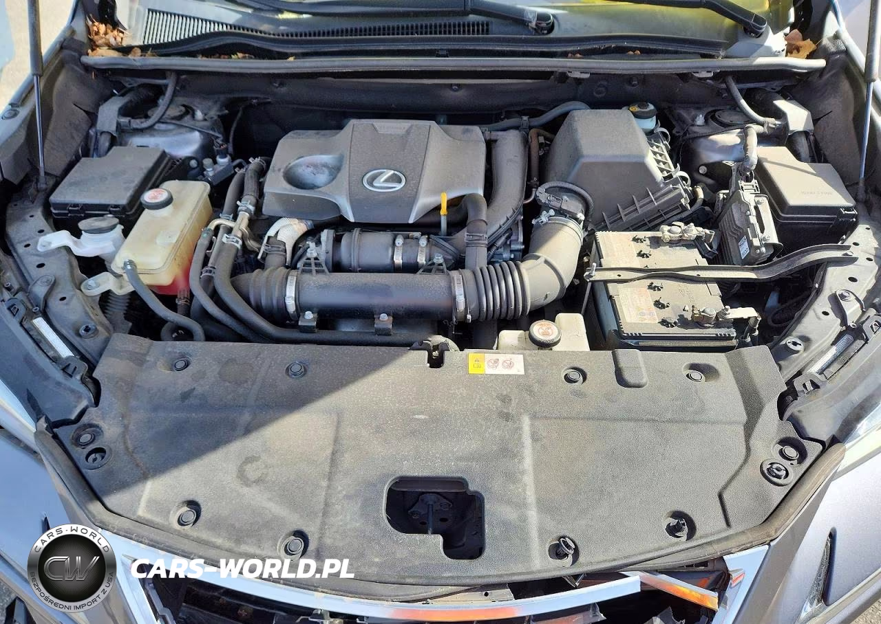 2019 Lexus Nx 300 Base VIN:JTJBARBZ9K2180718 - 12
