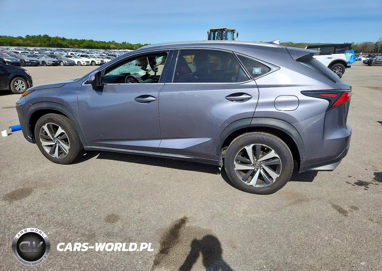 2019 Lexus Nx 300 Base VIN:JTJBARBZ9K2180718 - 2