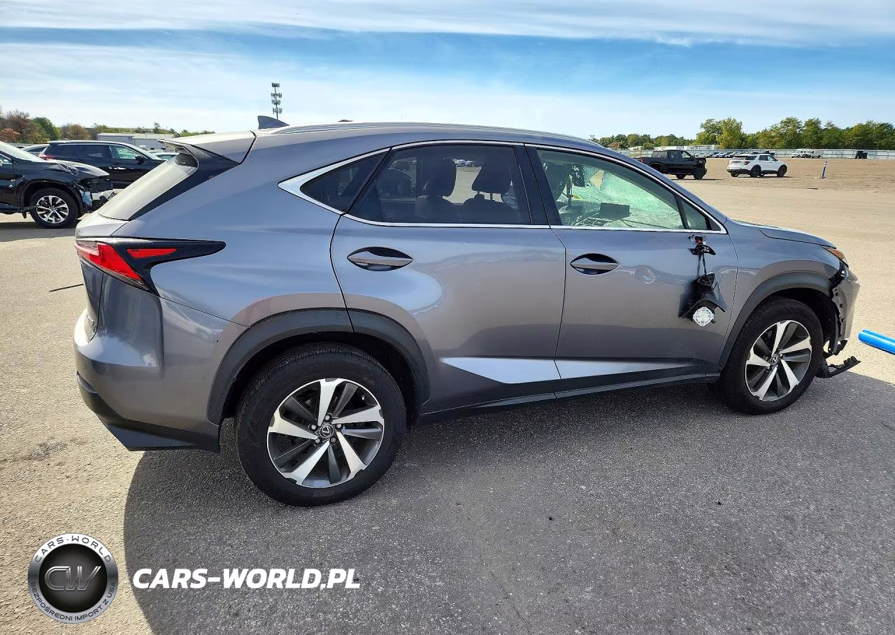 2019 Lexus Nx 300 Base VIN:JTJBARBZ9K2180718 - 3