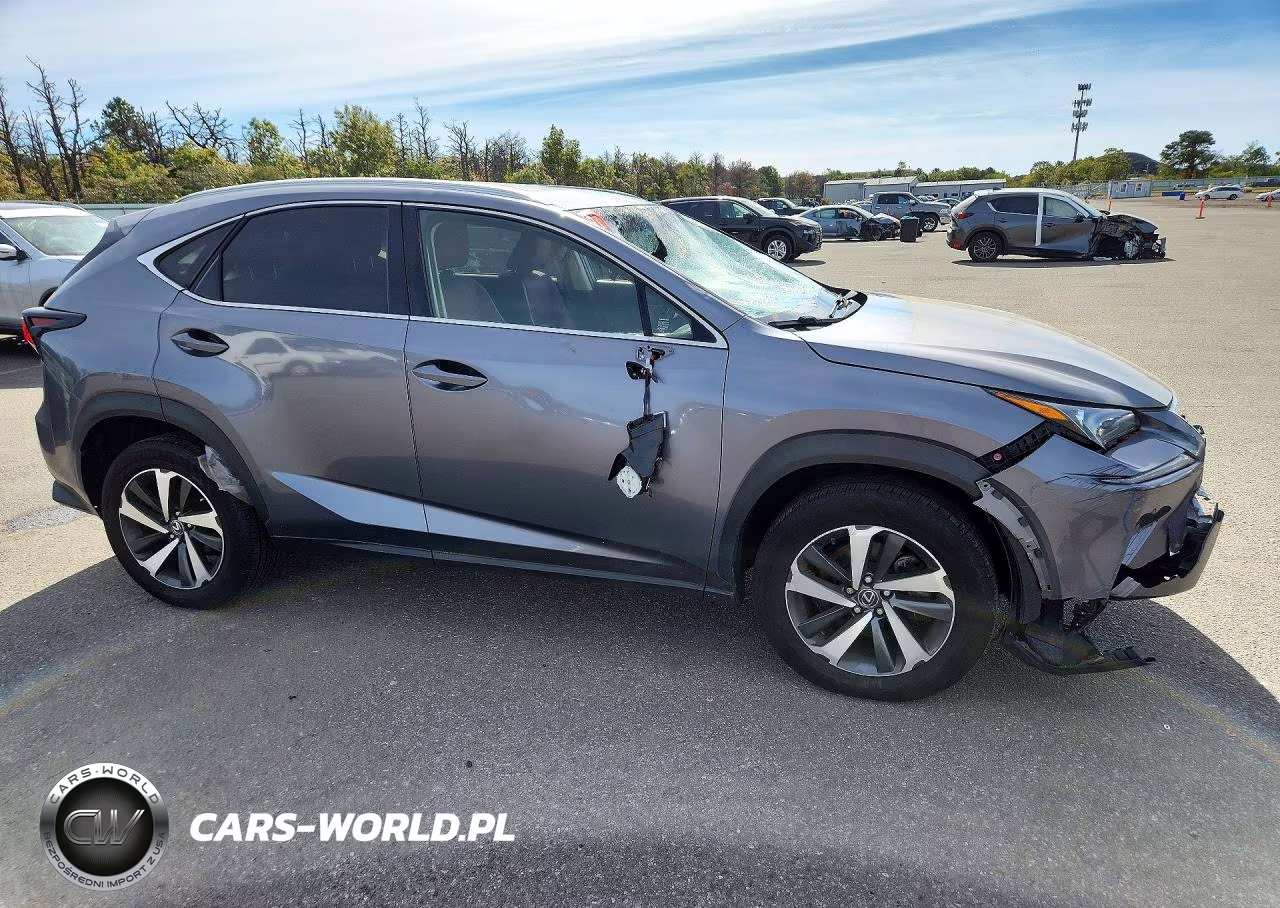 2019 Lexus Nx 300 Base VIN:JTJBARBZ9K2180718 - 4