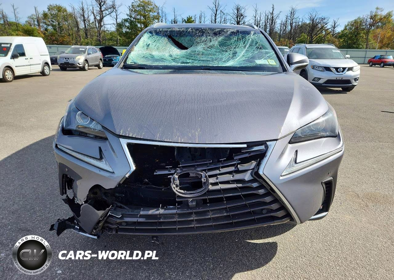 2019 Lexus Nx 300 Base VIN:JTJBARBZ9K2180718 - 5