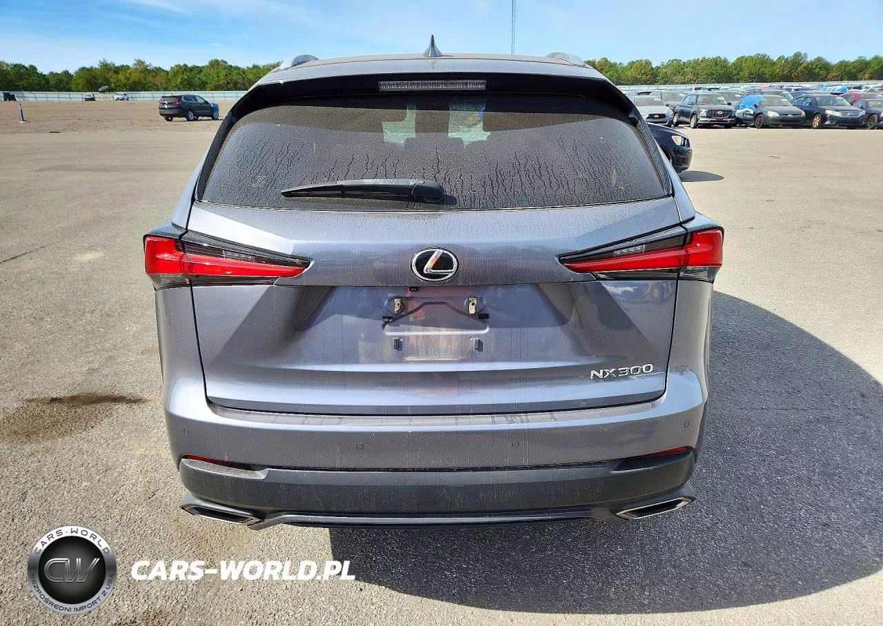2019 Lexus Nx 300 Base VIN:JTJBARBZ9K2180718 - 6