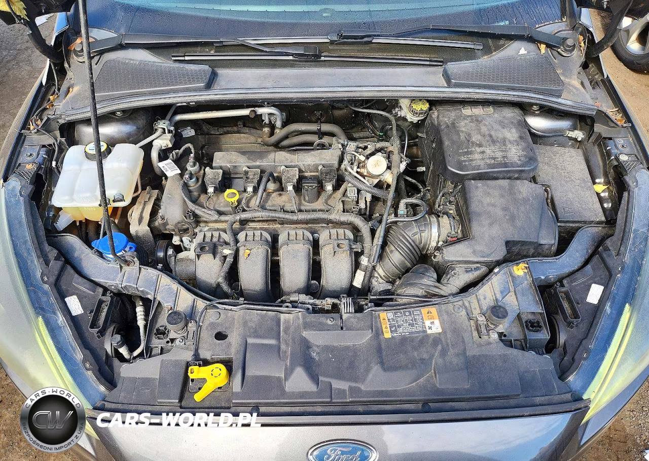 2016 Ford Focus Se VIN:1FADP3K29GL332935 - 11