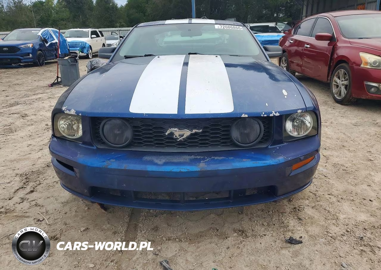 2008 Ford Mustang Gt VIN:1ZVHT82H485166397 - 5