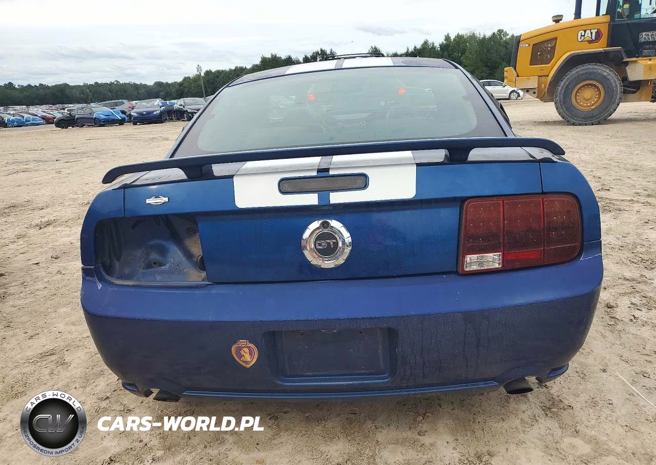 2008 Ford Mustang Gt VIN:1ZVHT82H485166397 - 6