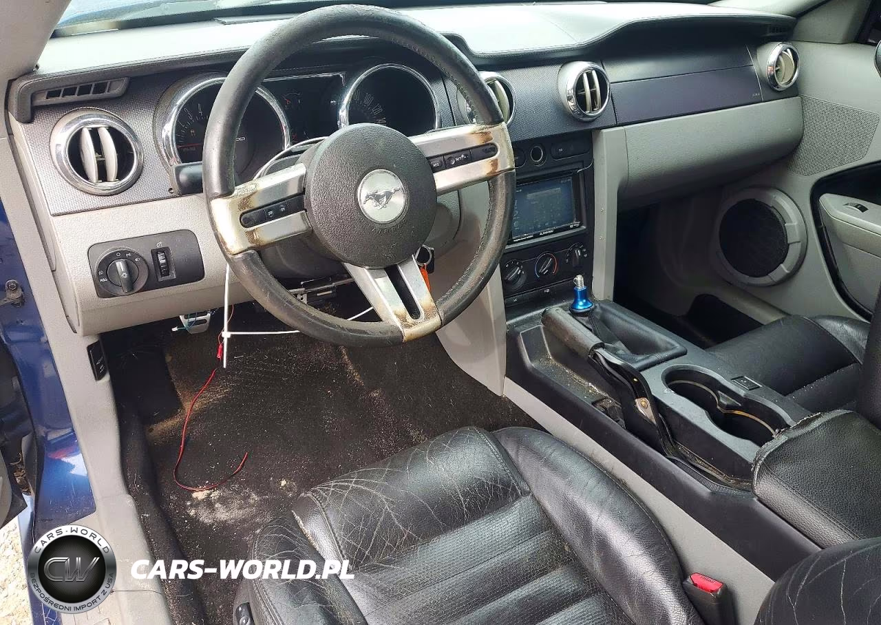 2008 Ford Mustang Gt VIN:1ZVHT82H485166397 - 8