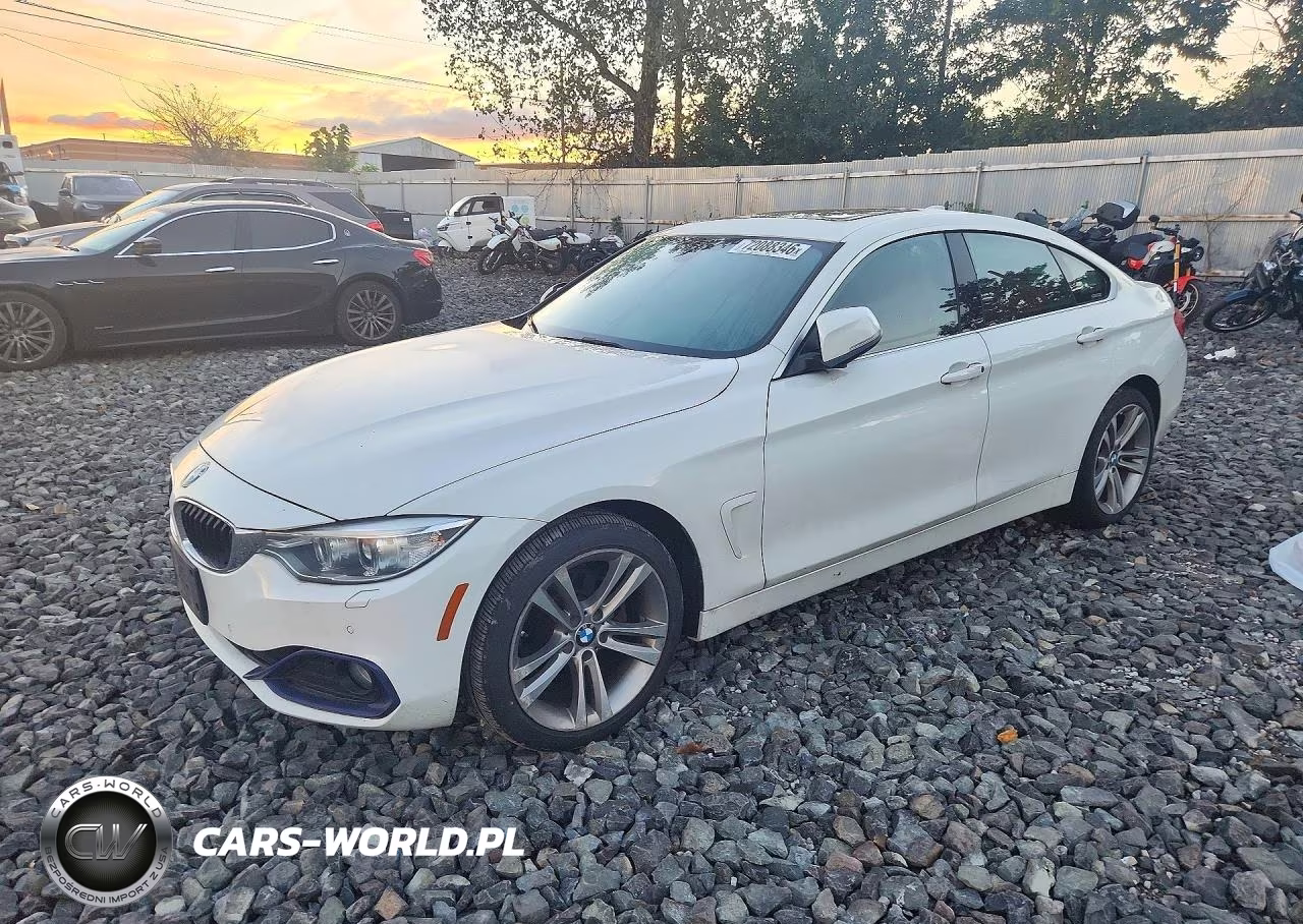 2016 BMW 428 Xi Gran Coupe Sulev VIN:WBA4C9C56GG139097 - 1