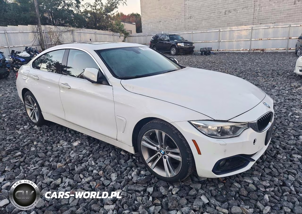 2016 BMW 428 Xi Gran Coupe Sulev VIN:WBA4C9C56GG139097 - 4