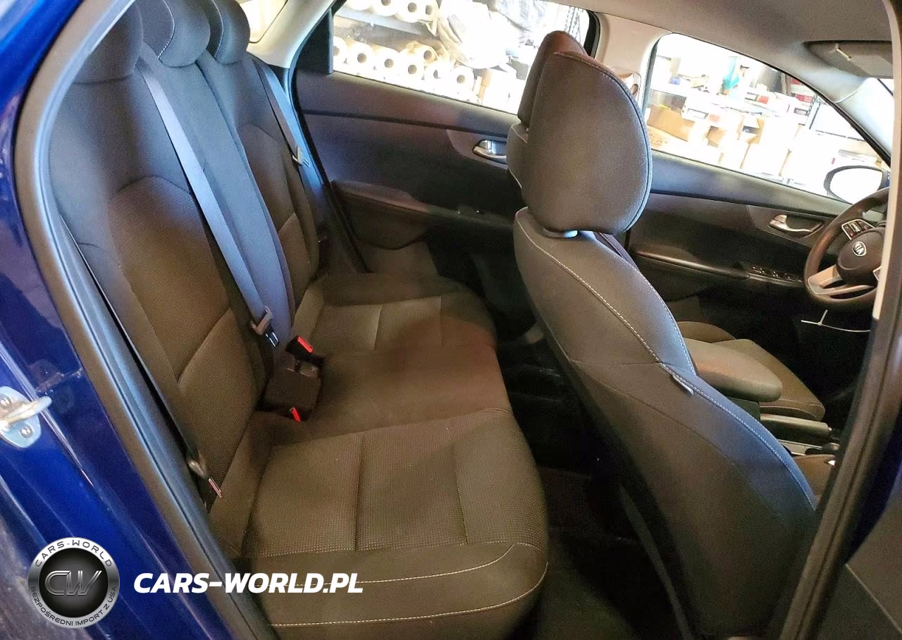2019 Kia Forte Lxs VIN:3KPF24AD3KE006334 - 10