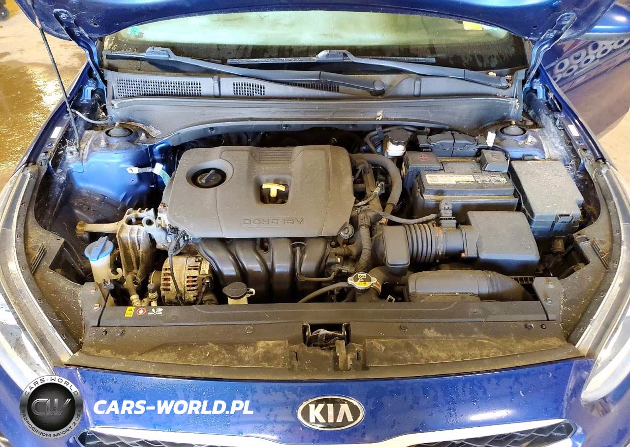 2019 Kia Forte Lxs VIN:3KPF24AD3KE006334 - 11
