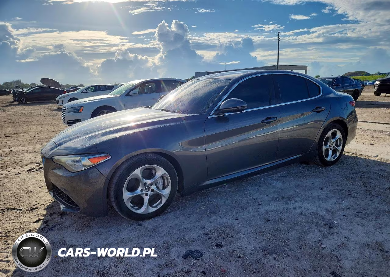 2019 Alfa Romeo Giulia VIN:ZARFAMANXK7602929 - 1