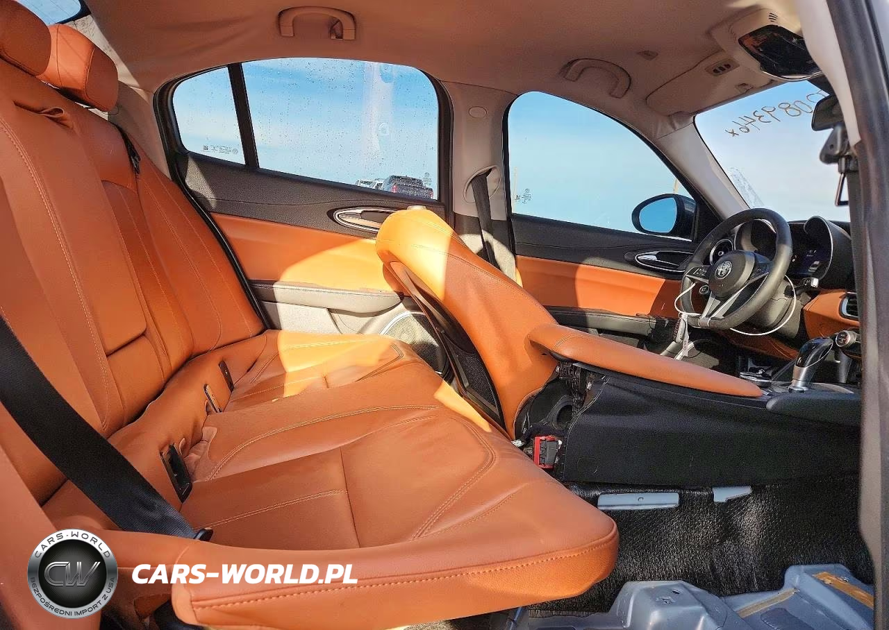 2019 Alfa Romeo Giulia VIN:ZARFAMANXK7602929 - 10