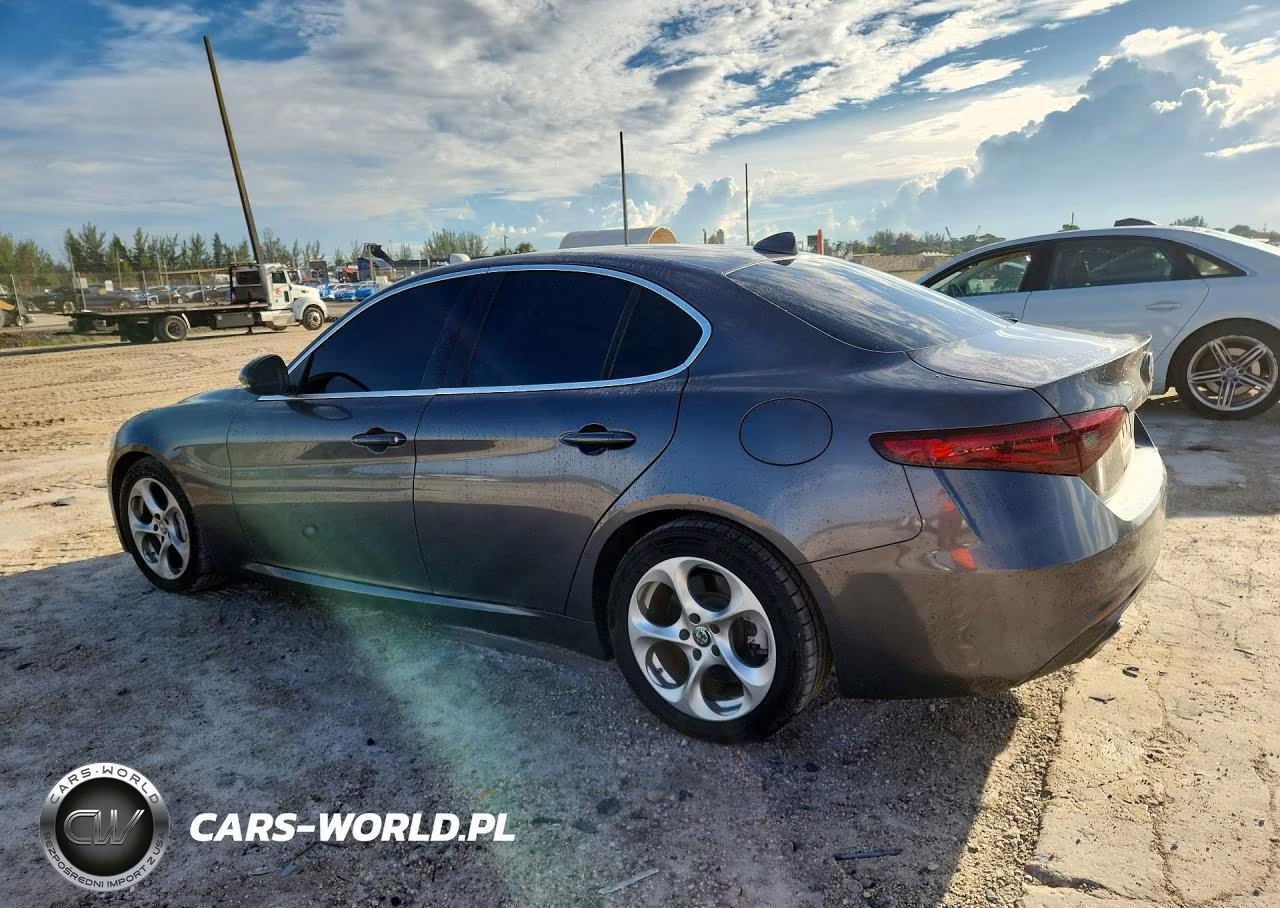 2019 Alfa Romeo Giulia VIN:ZARFAMANXK7602929 - 2