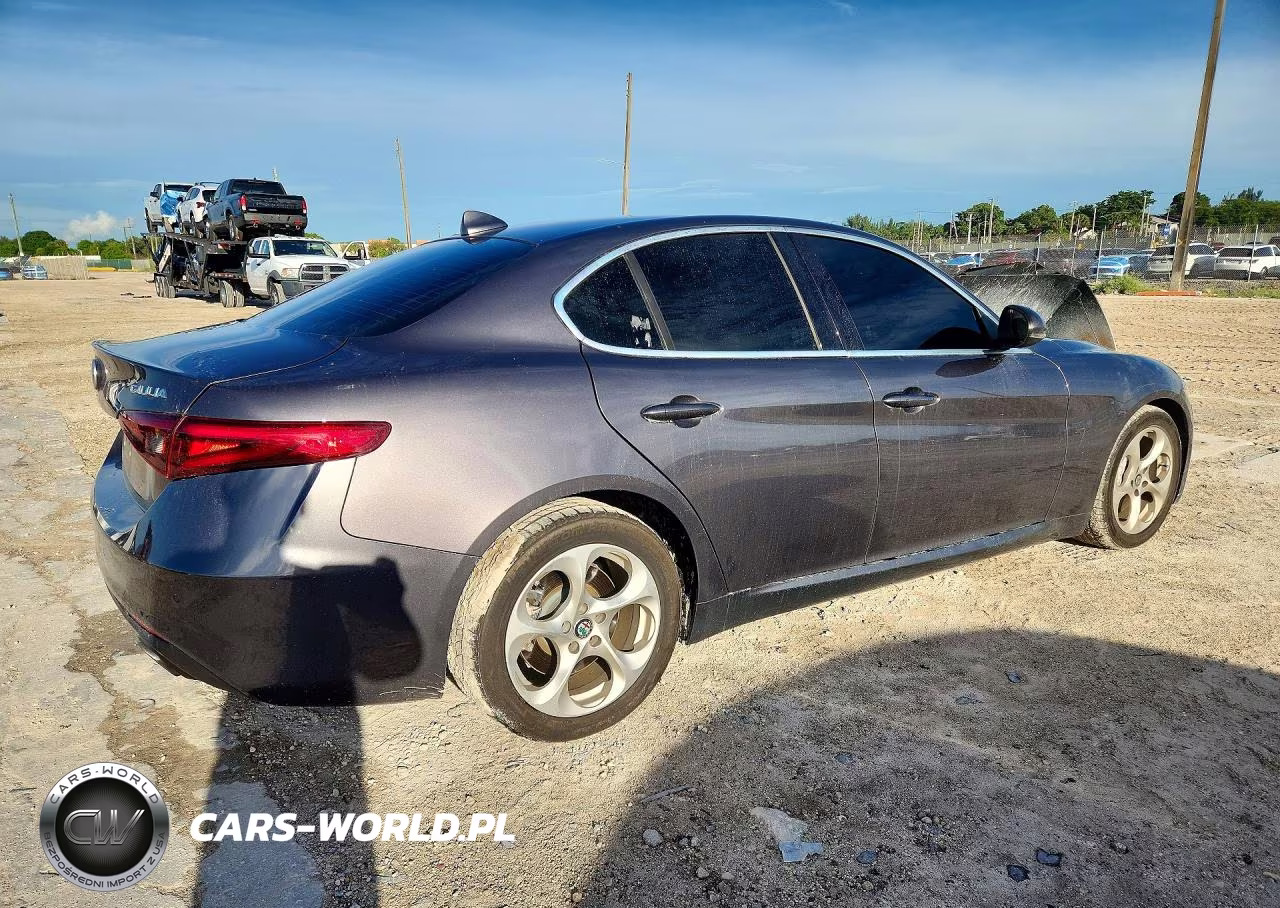 2019 Alfa Romeo Giulia VIN:ZARFAMANXK7602929 - 3