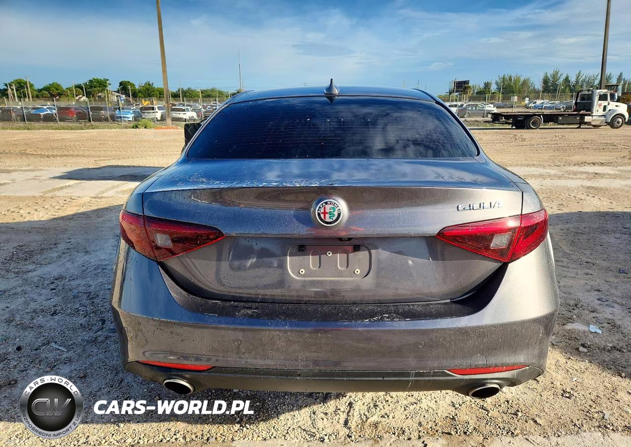 2019 Alfa Romeo Giulia VIN:ZARFAMANXK7602929 - 6