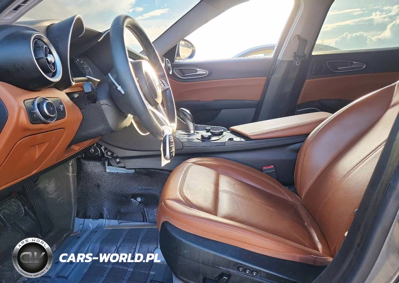 2019 Alfa Romeo Giulia VIN:ZARFAMANXK7602929 - 7