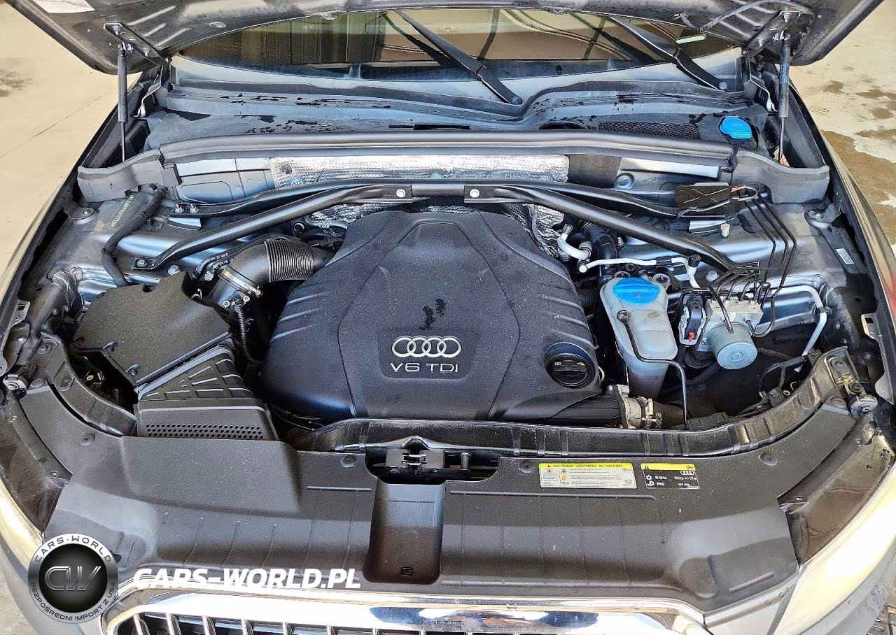 2014 Audi Q5 Tdi Premium Plus VIN:WA1CMAFP5EA107326 - 12