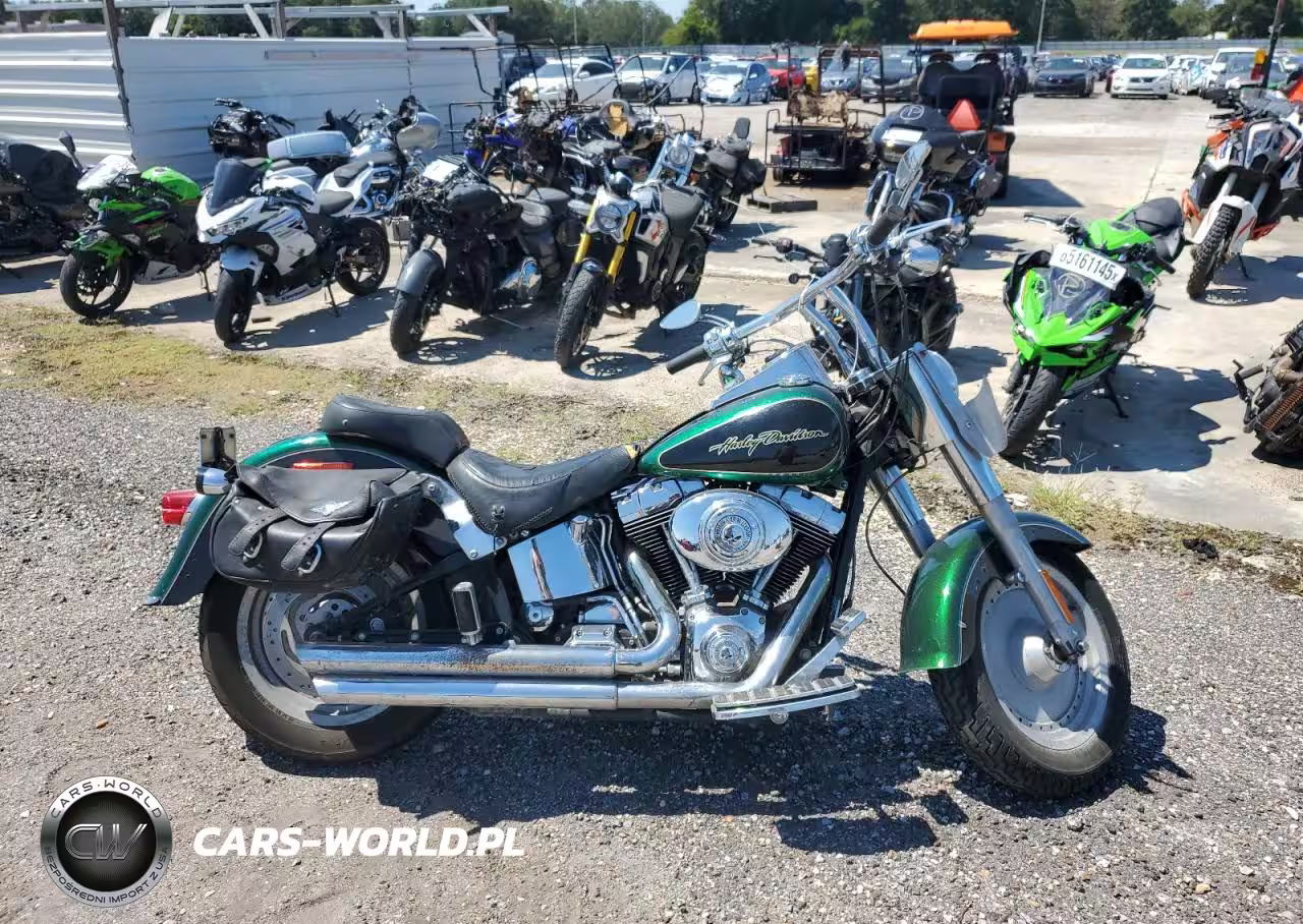 2006 Harley-Davidson Flstfi