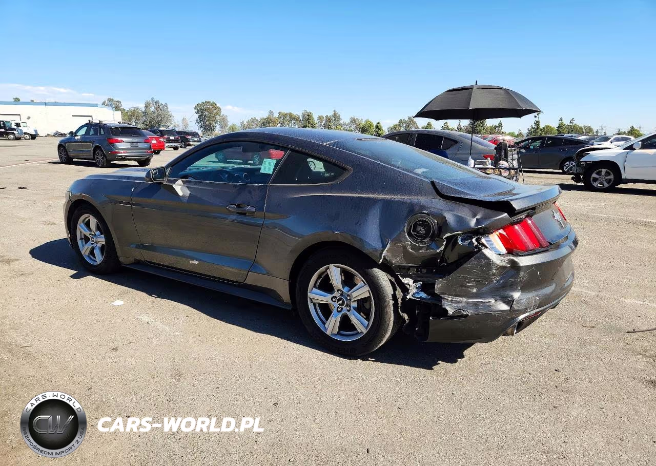 2017 Ford Mustang VIN:1FA6P8AM3H5309861 - 2