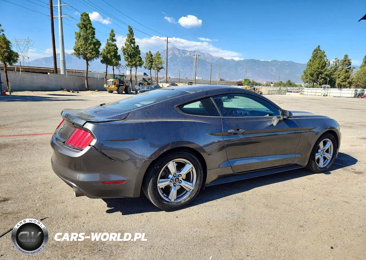 2017 Ford Mustang VIN:1FA6P8AM3H5309861 - 3