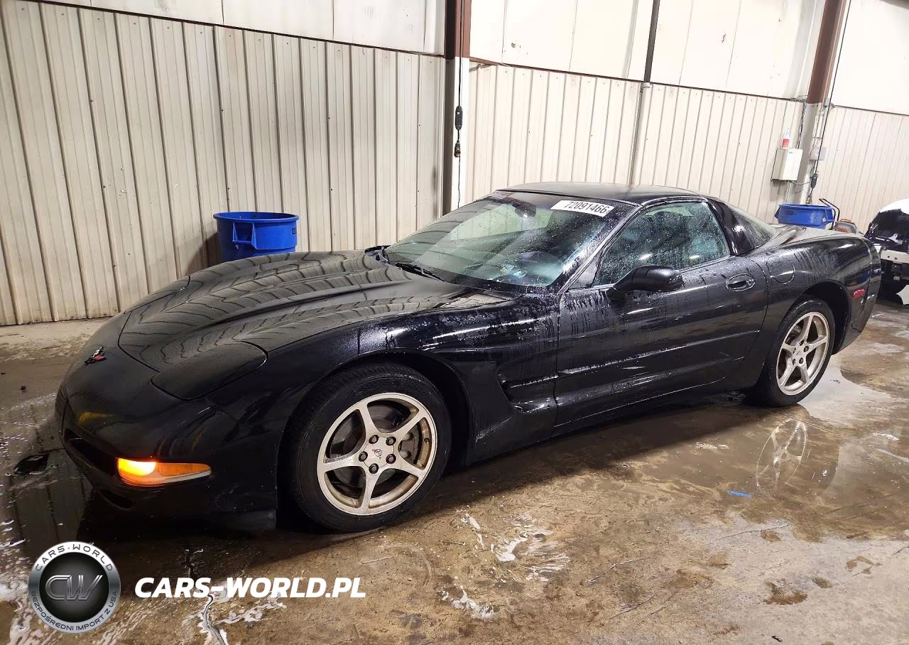 2002 Chevrolet Corvette VIN:1G1YY22G625116383 - 1