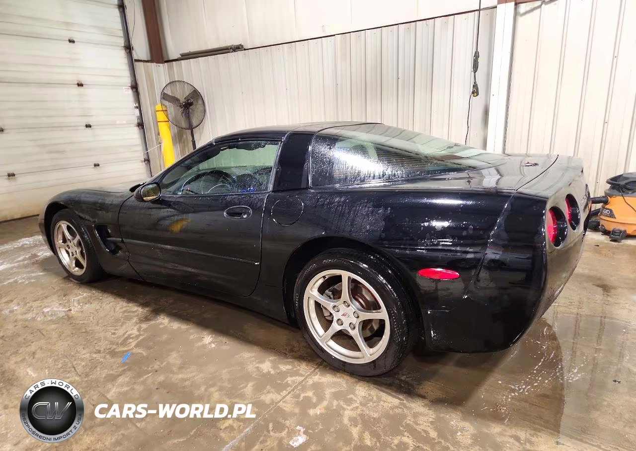 2002 Chevrolet Corvette VIN:1G1YY22G625116383 - 2