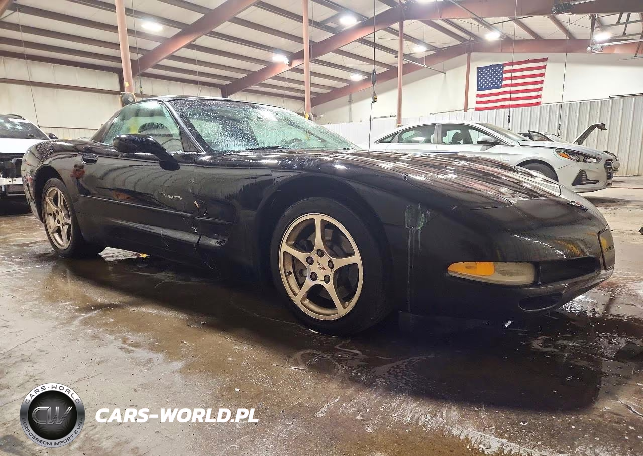 2002 Chevrolet Corvette VIN:1G1YY22G625116383 - 4