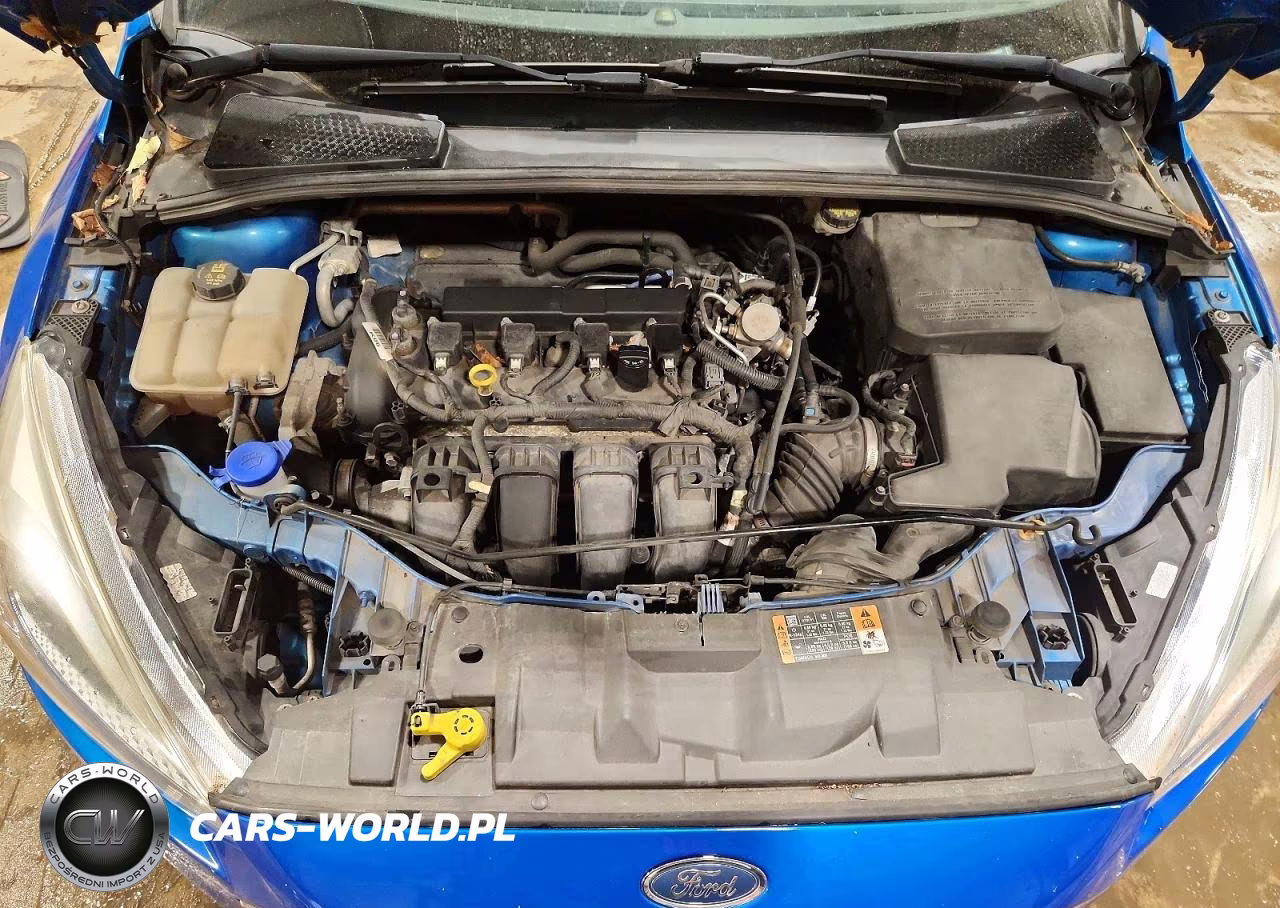 2016 Ford Focus Se VIN:1FADP3F25GL354800 - 11