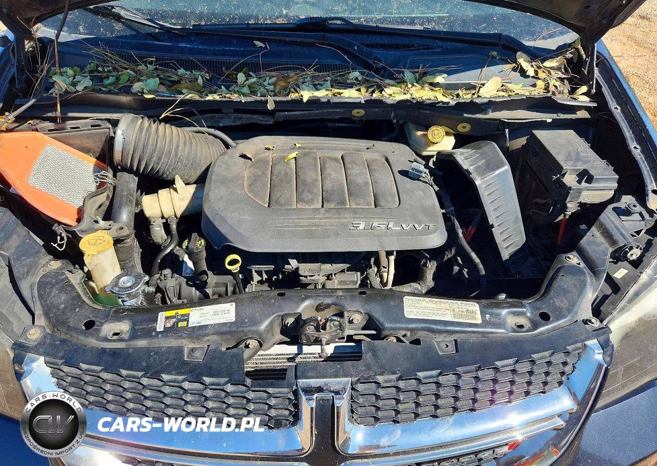 2014 Dodge Grand Caravan Sxt VIN:2C4RDGCGXER120754 - 11