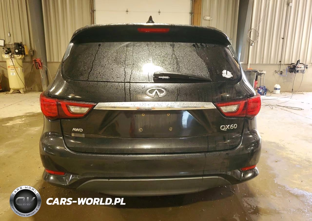 2020 Infiniti Qx60 Pure VIN:5N1DL0MM2LC502240 - 6