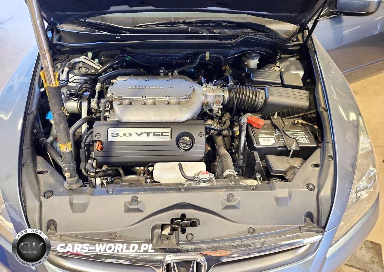 2007 Honda Accord Se VIN:1HGCM66477A054593 - 11