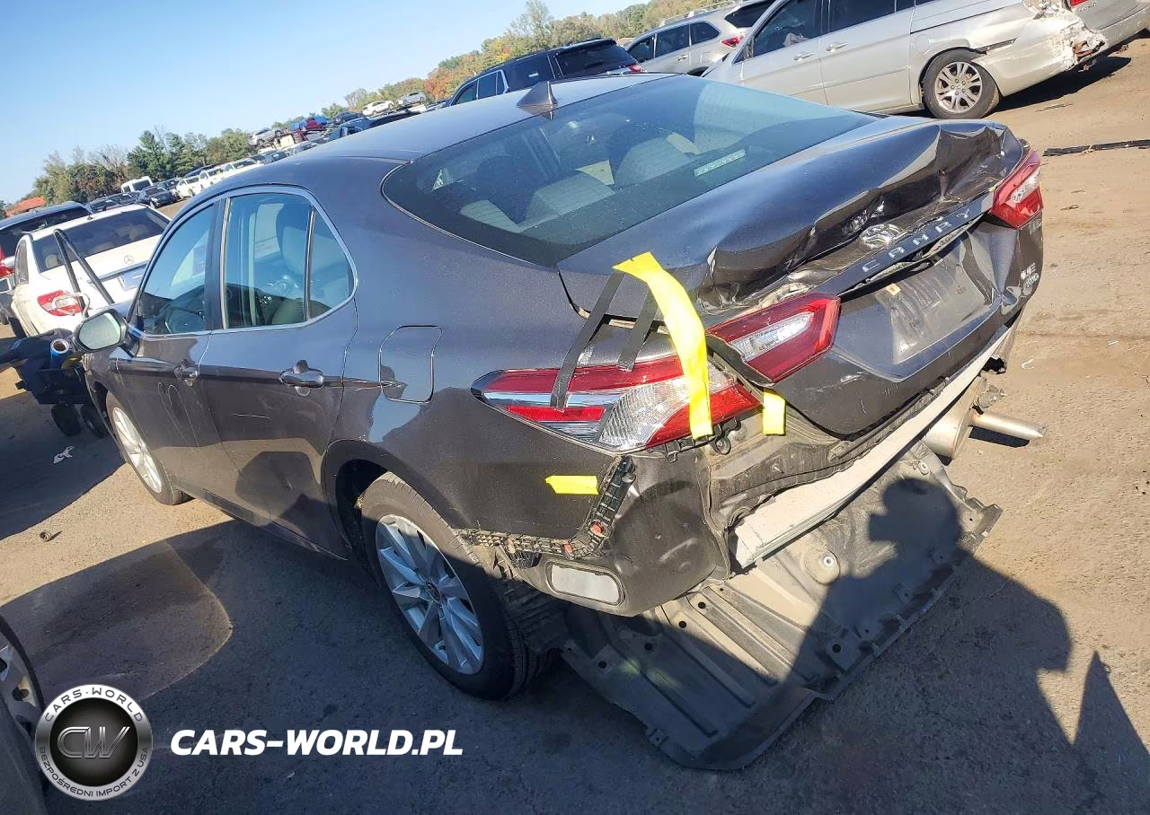 2020 Toyota Camry Le VIN:4T1C11BK8LU003462 - 2