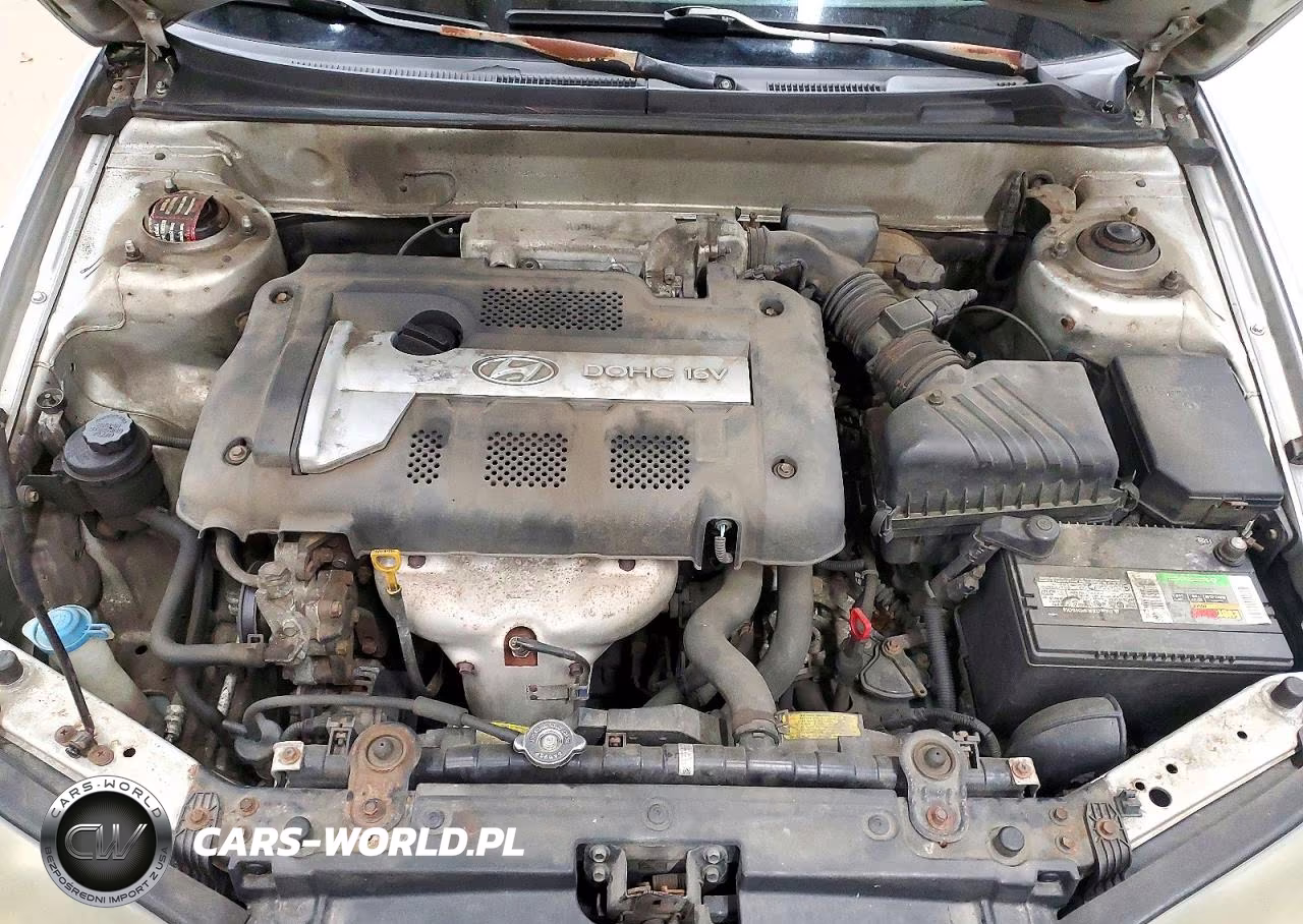 2004 Hyundai Elantra Gls VIN:KMHDN46DX4U755901 - 11
