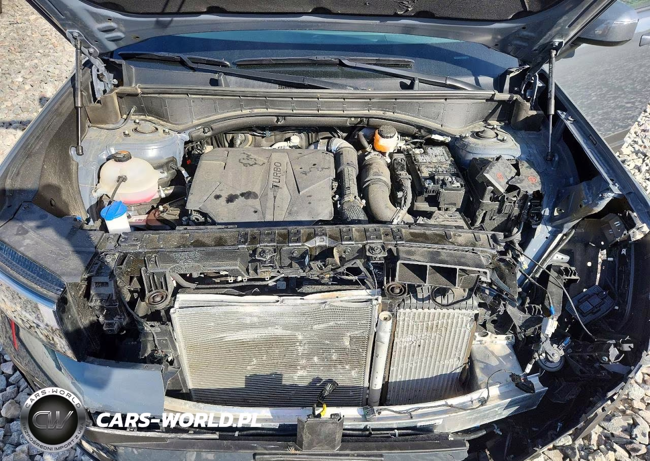 2025 Hyundai Santa Fe Sel VIN:5NMP2DGL1SH117878 - 12