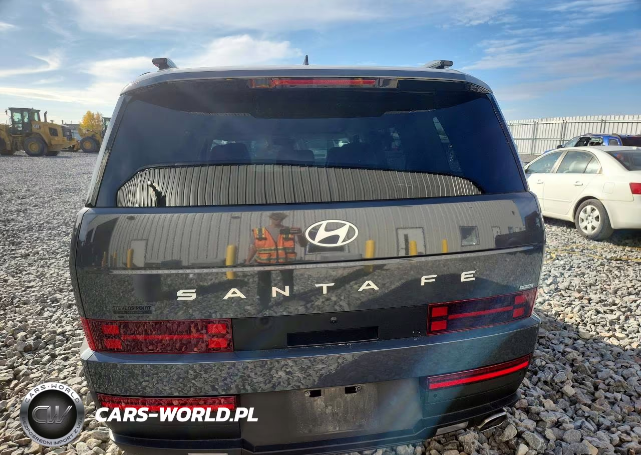 2025 Hyundai Santa Fe Sel VIN:5NMP2DGL1SH117878 - 6