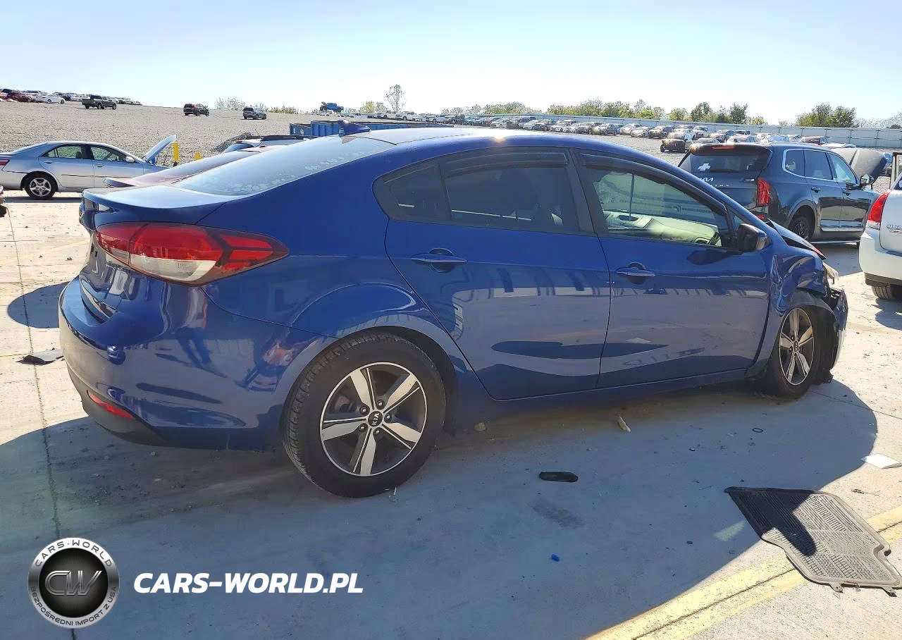 2018 Kia Forte VIN:3KPFL4A77JE234729 - 3