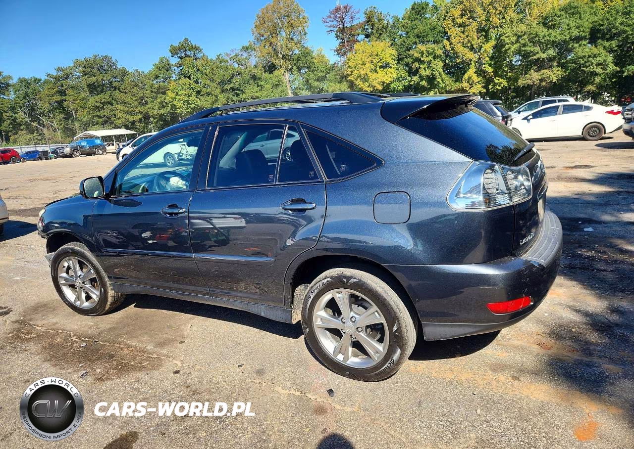 2006 Lexus Rx 400 VIN:JTJGW31U760001197 - 2