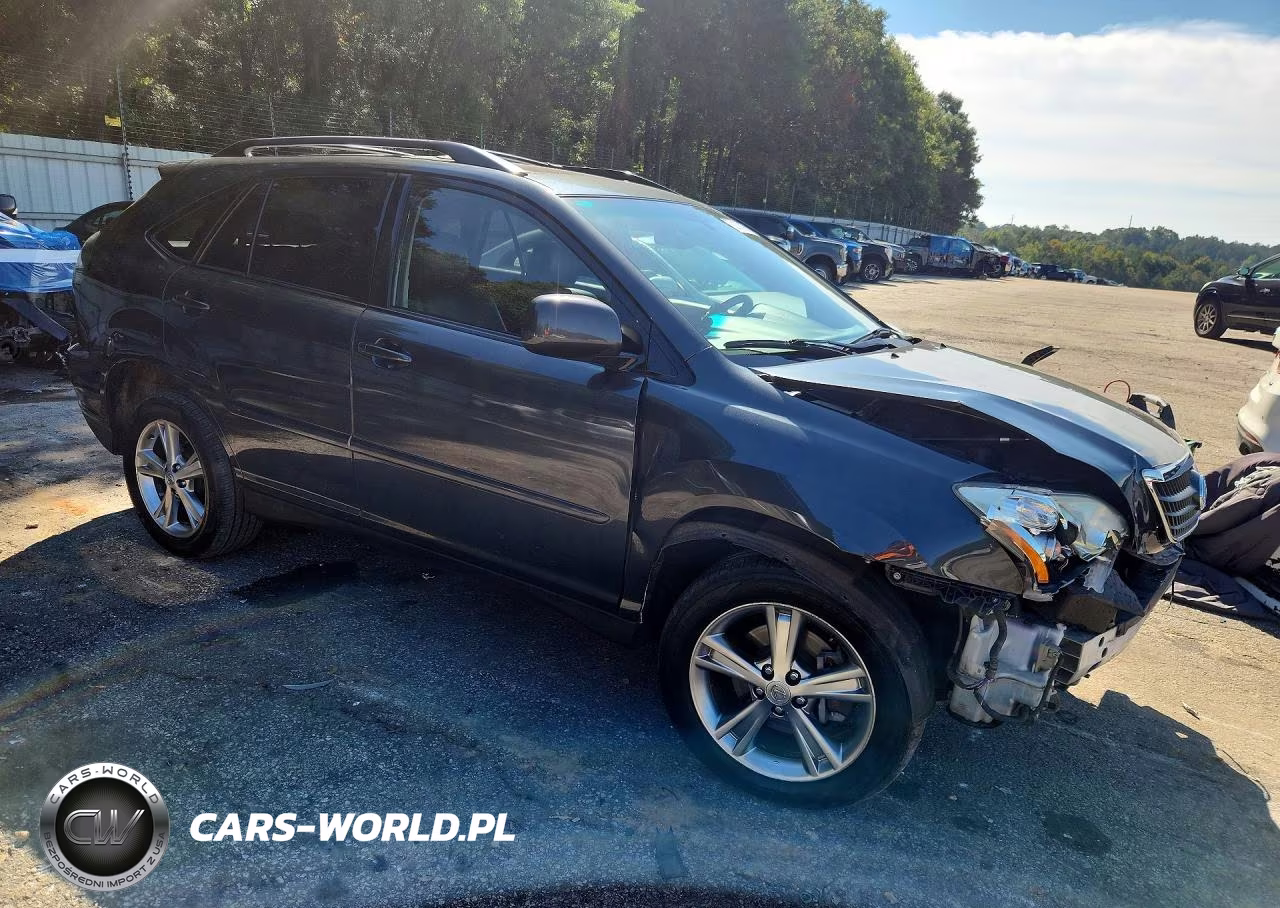 2006 Lexus Rx 400 VIN:JTJGW31U760001197 - 4