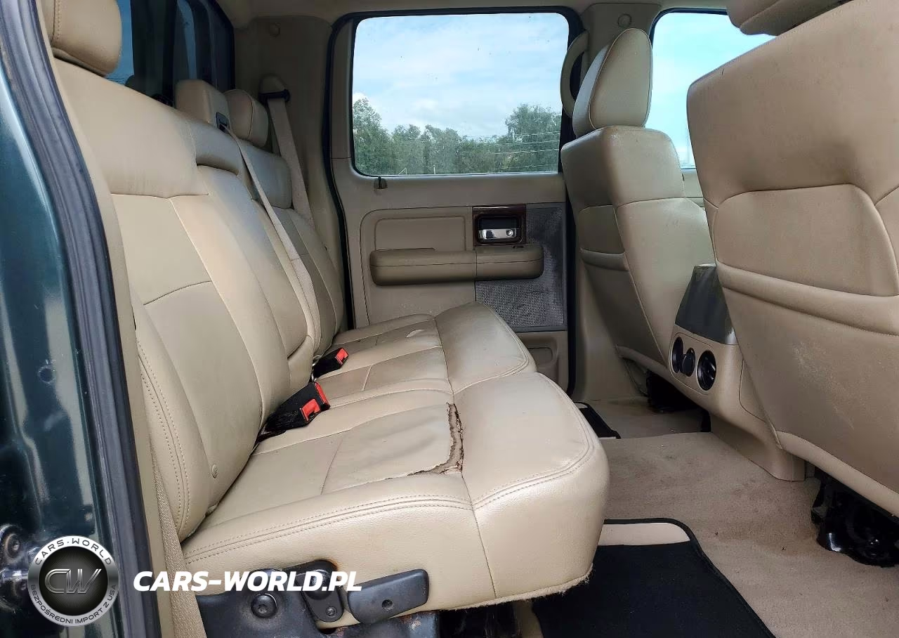 2006 Ford F150 Supercrew VIN:1FTPW14506KD91219 - 10