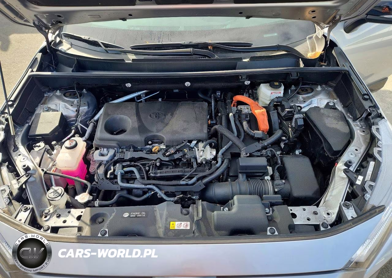 2025 Toyota Rav4 Xse VIN:4T3E6RFVXSU186916 - 12