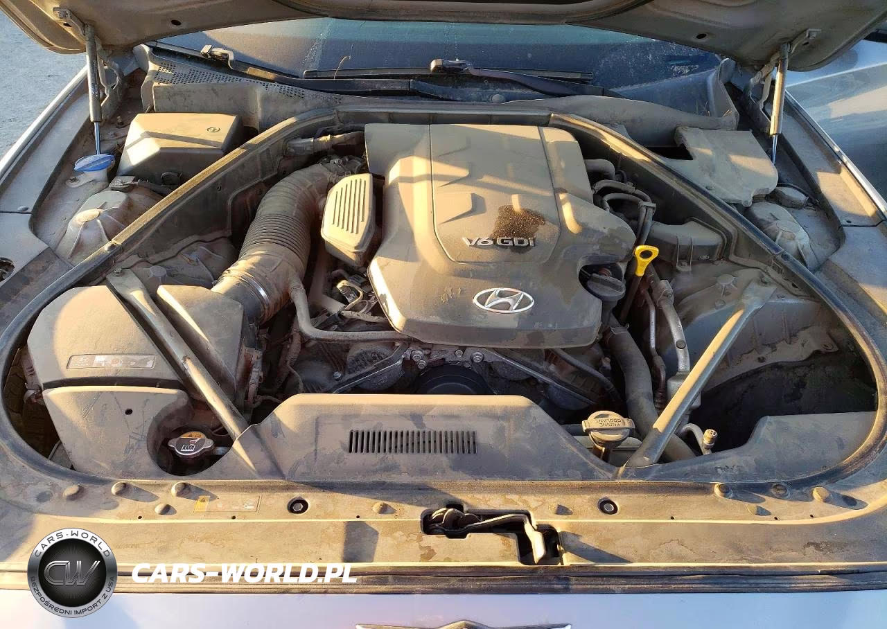 2015 Hyundai Genesis 3.8L VIN:KMHGN4JE0FU031120 - 11