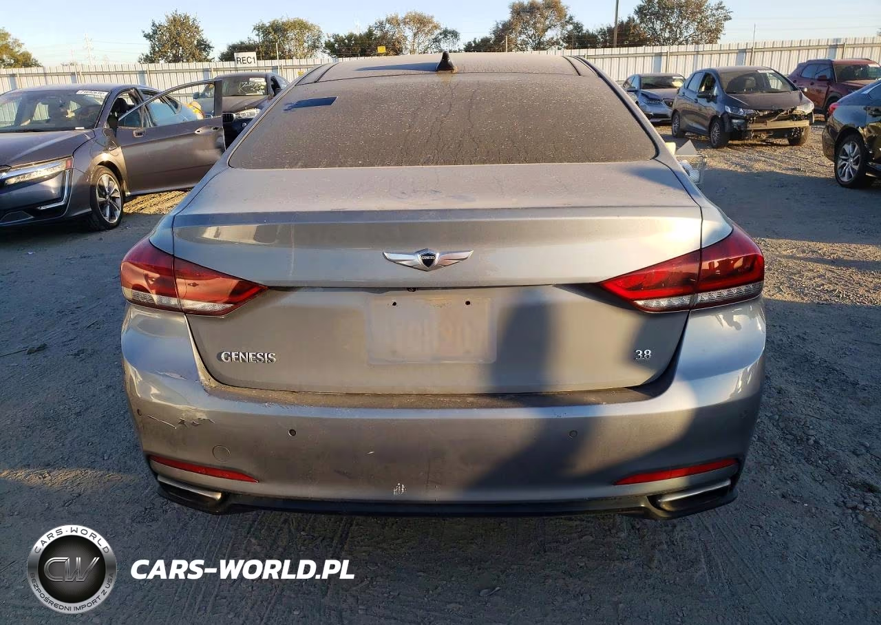 2015 Hyundai Genesis 3.8L VIN:KMHGN4JE0FU031120 - 6